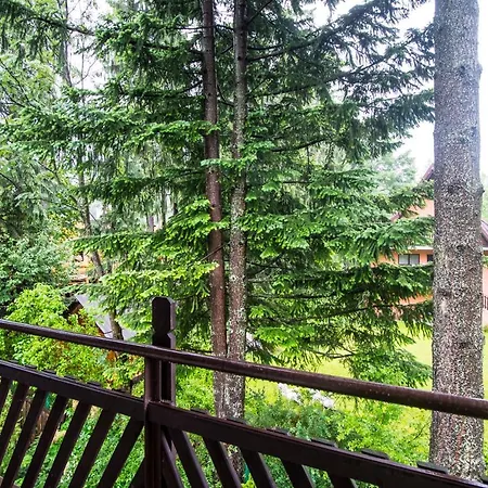 Homestay Zbikowka Dom W Zakopanem *